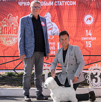 Рейтинговая выставка ЧРКФ с особым статусом Достояние Российской кинологии 2