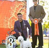 Рейтинговая выставка ЧРКФ с особым статусом Достояние Российской кинологии 1