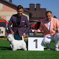 Национальная-выставка-собак-всех-пород-ранга-САС-Чемпион-РКФ