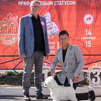 Ива на ноузворке