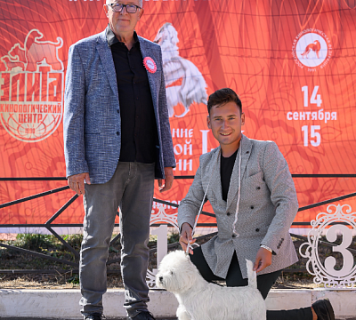 Ива на ноузворке